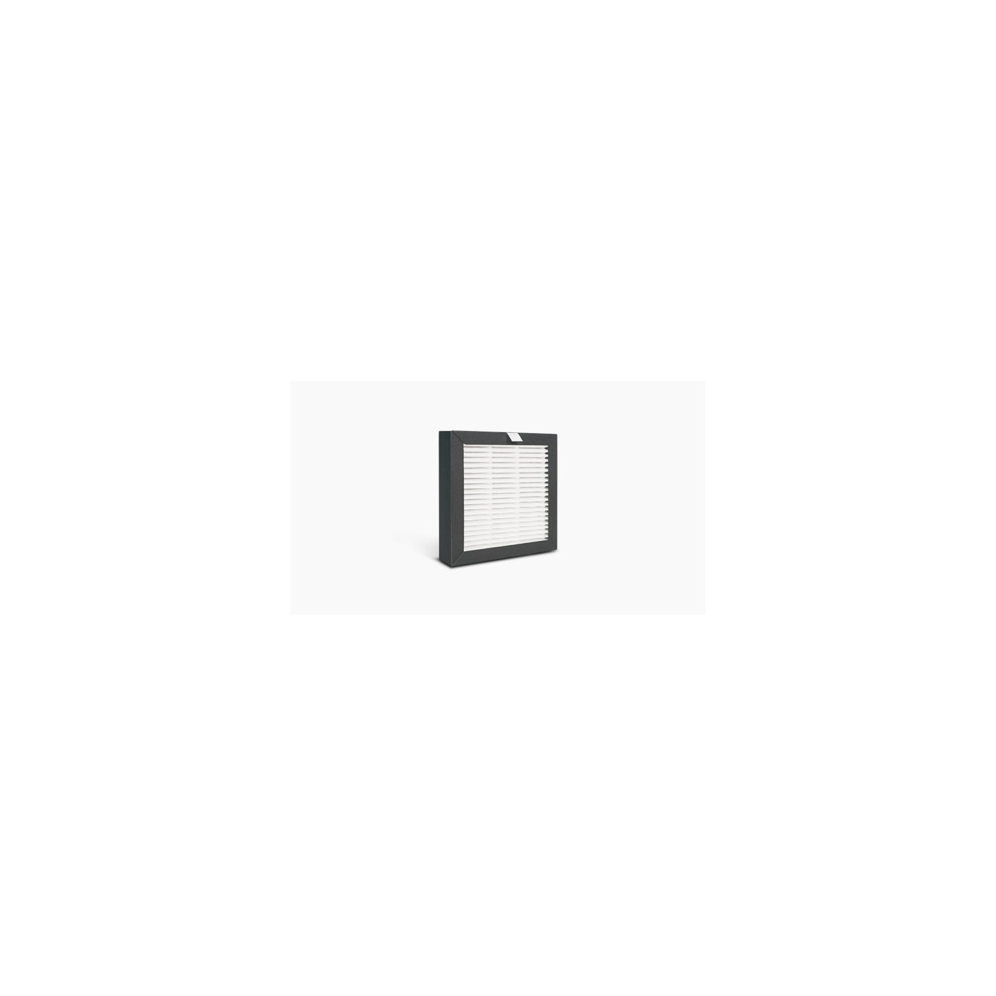 Raise3D Pro2 / Pro3 Replacement Air Filter