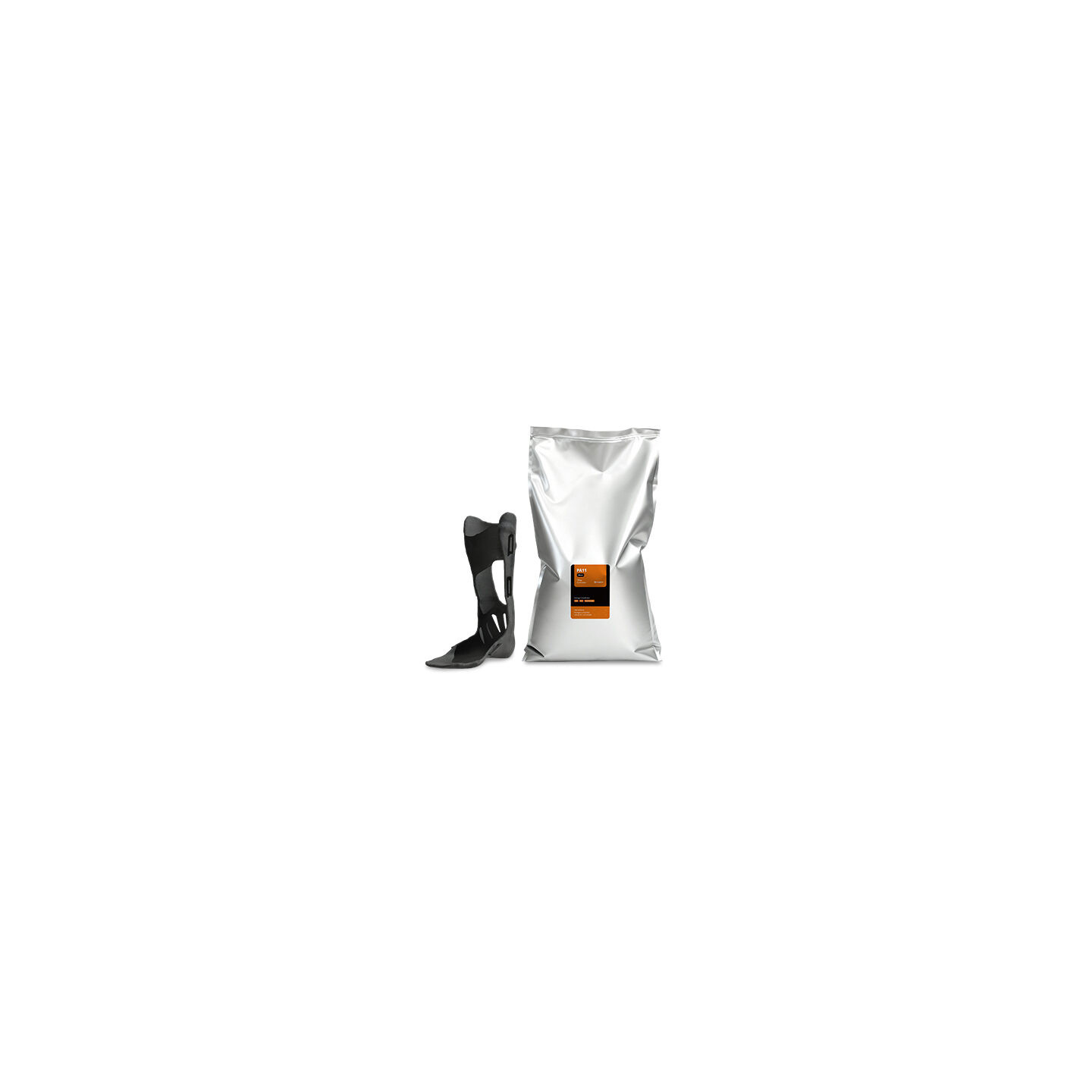 Raise3D PA11 V1 Powder 10 kg