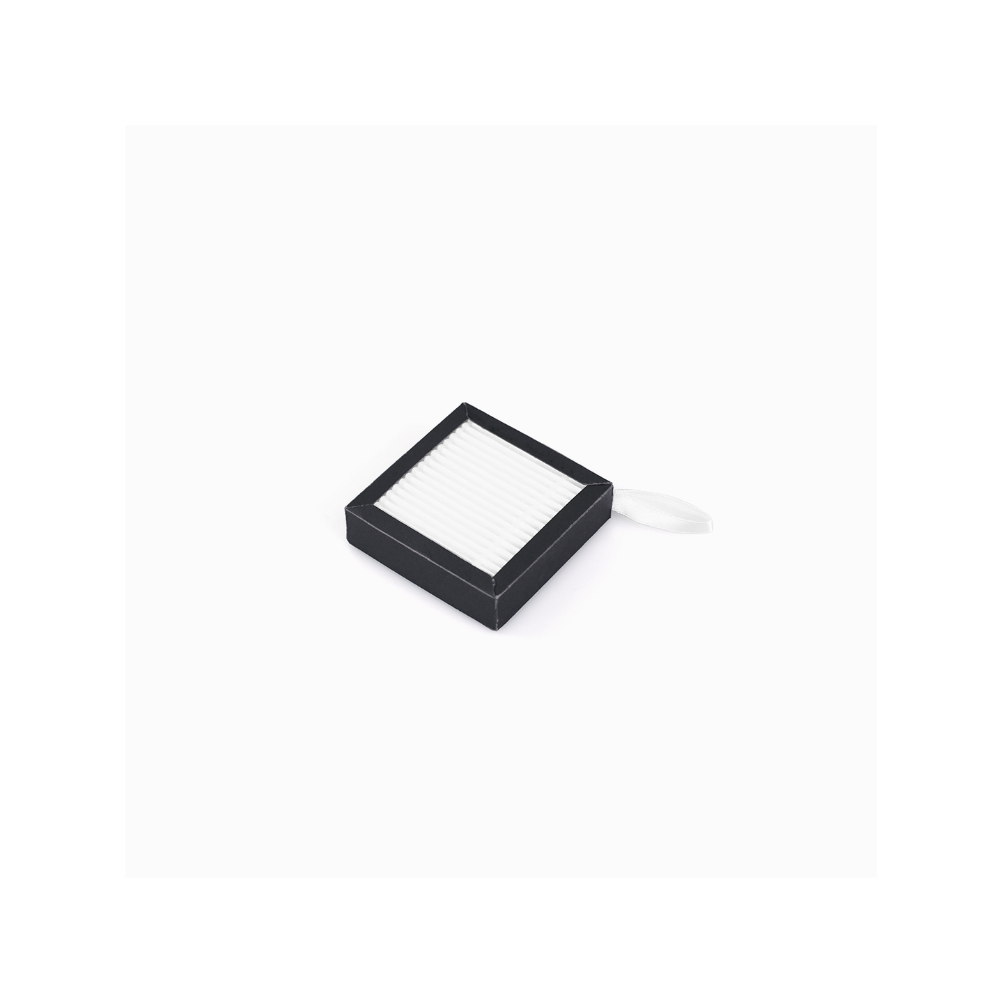 Raise3D E2 Air Filter