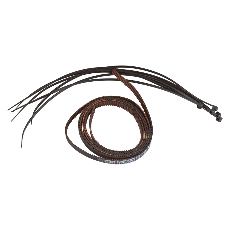 Formbot Troodon Z Belt for 300