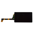 ZHP019