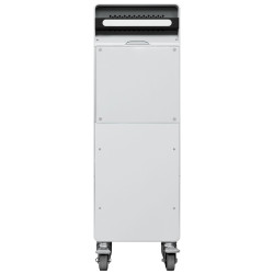 Raise3D Extra Build Unit 220