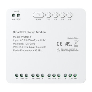 DIY Avatto WSMD-4 250V smart switch module