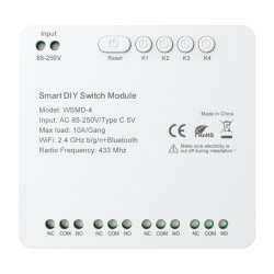 DIY Avatto WSMD-4 250V smart switch module
