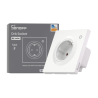 Sonoff WS01TPF-E WiFi Smart Wall Socket (Type F)