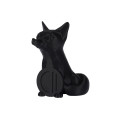 Copymaster3D PETG Carbon