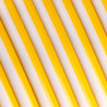 Panchroma™ PLA Dual Silk