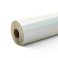 LOKLiK Heat Transfer Vinyl Chameleon