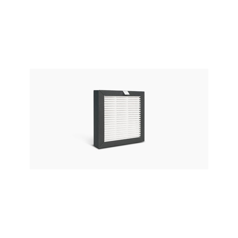 Raise3D Pro2 / Pro3 Replacement Air Filter
