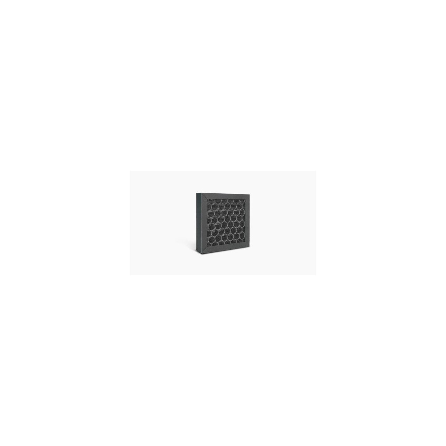 Raise3D Pro2 / Pro3 Replacement Air Filter