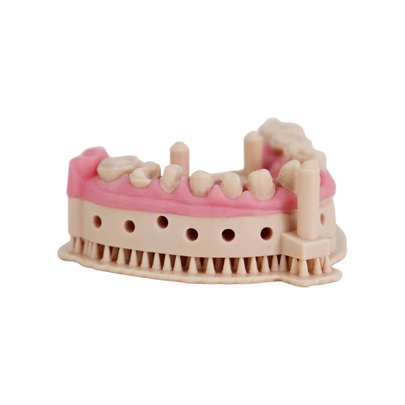 Liqcreate Dental Model Pro Beige