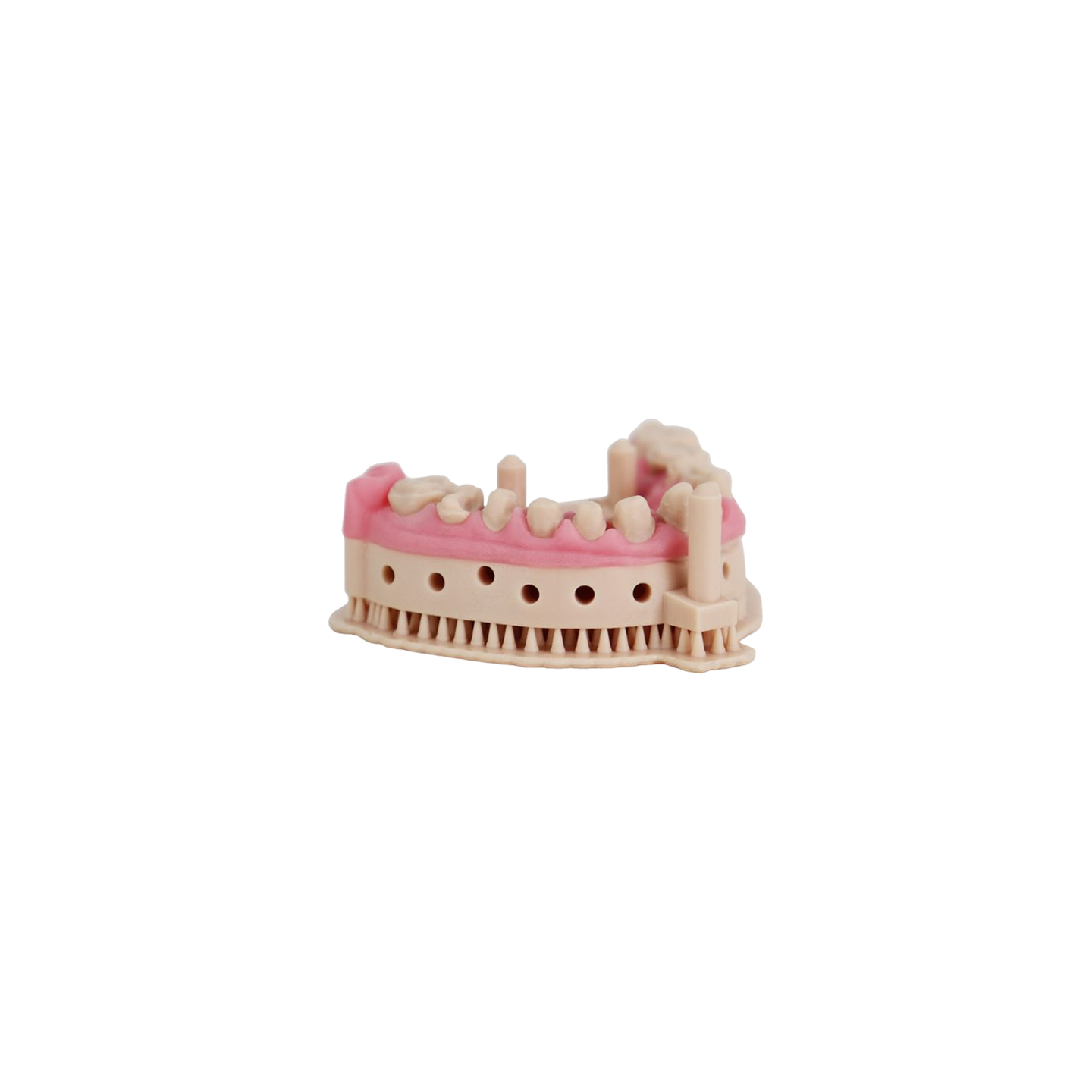 Liqcreate Dental Model Pro Beige