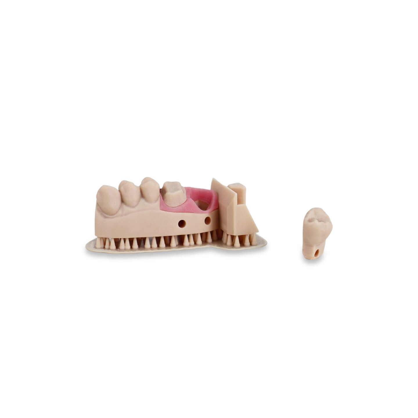 Liqcreate Dental Model Pro Beige