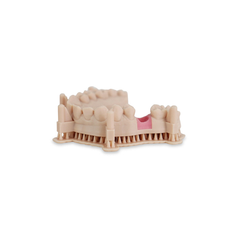 Liqcreate Dental Model Pro Beige