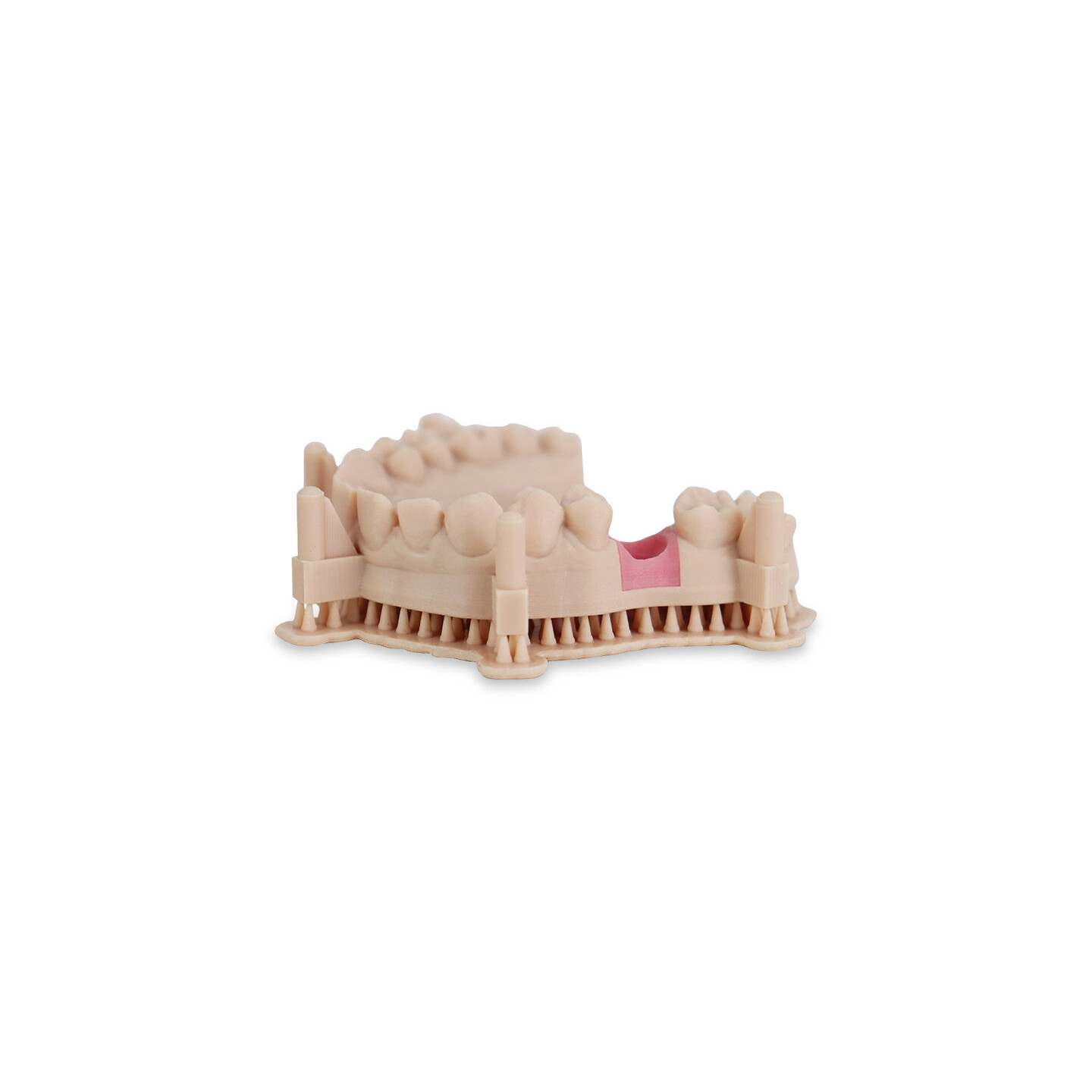 Liqcreate Dental Model Pro Beige