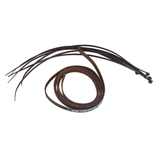 Formbot Troodon Z Belt for 300