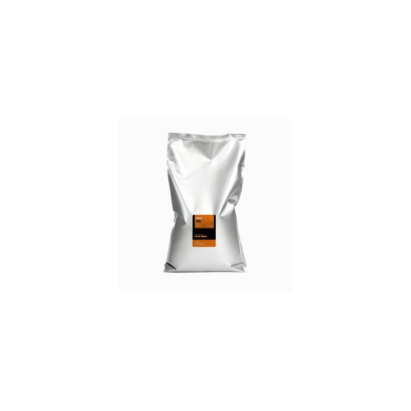 Raise3D PA11 V1 Powder 10 kg